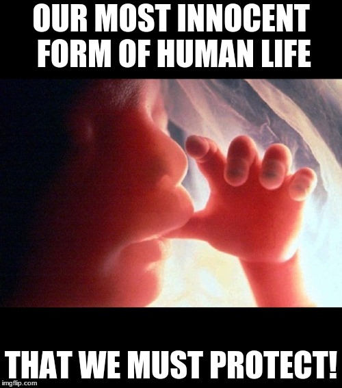 Protect our Most Innocent Life Form | OUR MOST INNOCENT FORM OF HUMAN LIFE; THAT WE MUST PROTECT! | image tagged in abortion | made w/ Imgflip meme maker