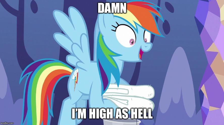 Rainbow Dash Is High As Fuc | DAMN; I’M HIGH AS HELL | image tagged in my little pony friendship is magic,my little pony,rainbow dash,memes,high | made w/ Imgflip meme maker