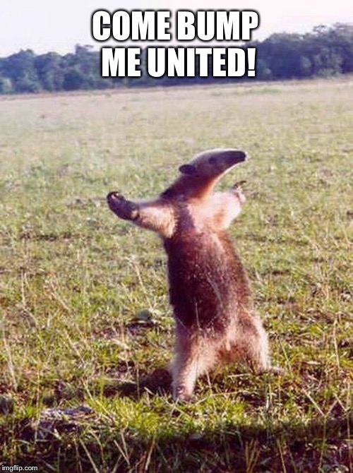 Fight me anteater | COME BUMP ME UNITED! | image tagged in fight me anteater | made w/ Imgflip meme maker