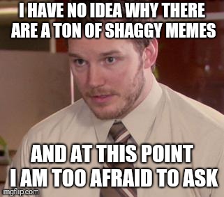 Afraid To Ask Andy (Closeup) Meme | I HAVE NO IDEA WHY THERE ARE A TON OF SHAGGY MEMES; AND AT THIS POINT I AM TOO AFRAID TO ASK | image tagged in memes,afraid to ask andy closeup,AdviceAnimals | made w/ Imgflip meme maker