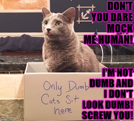 DON'T YOU DARE MOCK ME HUMAN! I'M NOT DUMB AND I DON'T LOOK DUMB! SCREW YOU! | image tagged in don't mock me | made w/ Imgflip meme maker