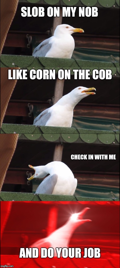 Inhaling Seagull Meme | SLOB ON MY NOB; LIKE CORN ON THE COB; CHECK IN WITH ME; AND DO YOUR JOB | image tagged in memes,inhaling seagull | made w/ Imgflip meme maker