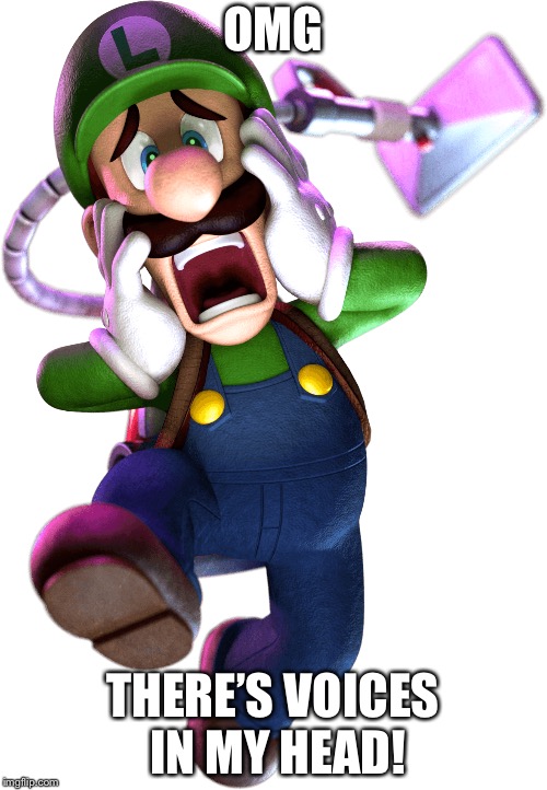 Paranoid Luigi | OMG; THERE’S VOICES IN MY HEAD! | image tagged in super mario,luigi,screaming,scared,paranoid,meme | made w/ Imgflip meme maker