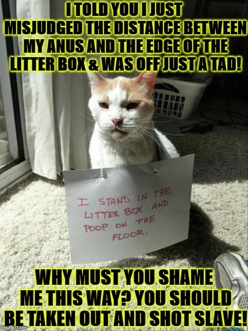 I TOLD YOU I JUST MISJUDGED THE DISTANCE BETWEEN MY ANUS AND THE EDGE OF THE LITTER BOX & WAS OFF JUST A TAD! WHY MUST YOU SHAME ME THIS WAY? YOU SHOULD BE TAKEN OUT AND SHOT SLAVE! | image tagged in floor pooper | made w/ Imgflip meme maker