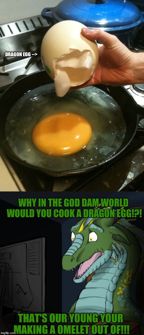 Wth this is why we can't have nice things... | DRAGON EGG -->; WHY IN THE GOD DAM WORLD WOULD YOU COOK A DRAGON EGG!?! THAT'S OUR YOUNG YOUR MAKING A OMELET OUT OF!!! | image tagged in bns dragon,cooking dragon egg,bruh,wtf,stop it get some help,this is why we cant have nice things | made w/ Imgflip meme maker
