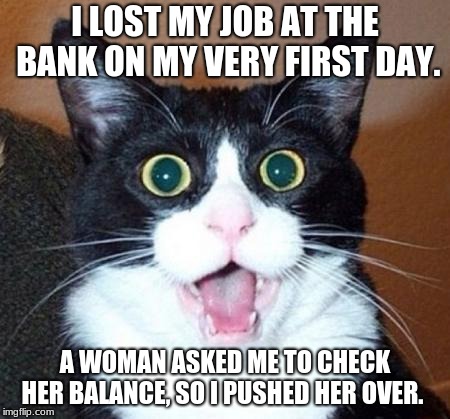 Surprised cat lol | I LOST MY JOB AT THE BANK ON MY VERY FIRST DAY. A WOMAN ASKED ME TO CHECK HER BALANCE, SO I PUSHED HER OVER. | image tagged in surprised cat lol | made w/ Imgflip meme maker