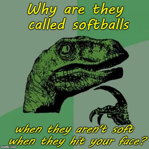 Philosoraptor Meme | Why are they called softballs; when they aren't soft when they hit your face? | image tagged in memes,philosoraptor | made w/ Imgflip meme maker