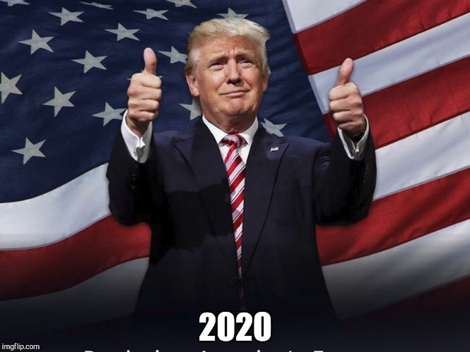 Donald Trump Thumbs Up | 2020 | image tagged in donald trump thumbs up | made w/ Imgflip meme maker