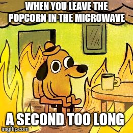 Dog in burning house |  WHEN YOU LEAVE THE POPCORN IN THE MICROWAVE; A SECOND TOO LONG | image tagged in dog in burning house | made w/ Imgflip meme maker
