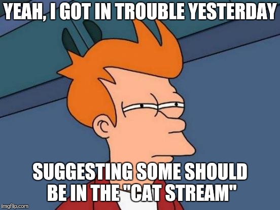 Futurama Fry Meme | YEAH, I GOT IN TROUBLE YESTERDAY SUGGESTING SOME SHOULD BE IN THE "CAT STREAM" | image tagged in memes,futurama fry | made w/ Imgflip meme maker