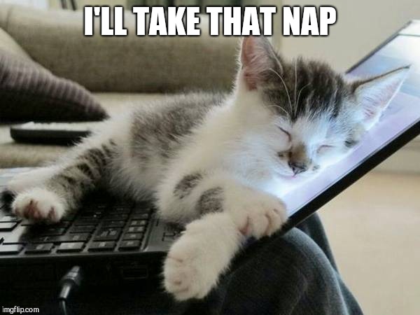 cat sleep computer | I'LL TAKE THAT NAP | image tagged in cat sleep computer | made w/ Imgflip meme maker