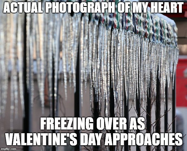 Cold As Ice | ACTUAL PHOTOGRAPH OF MY HEART; FREEZING OVER AS VALENTINE'S DAY APPROACHES | image tagged in cold as ice,valentine's day,cold heart | made w/ Imgflip meme maker