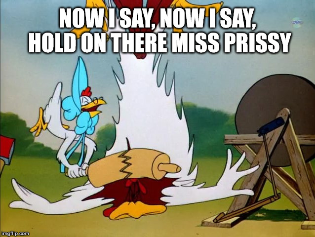 Reason Vs. a Rolling Pin | NOW I SAY, NOW I SAY, HOLD ON THERE MISS PRISSY | image tagged in lovelorn leghorn,miss prissy,foghorn leghorn,rolling pin,widow | made w/ Imgflip meme maker
