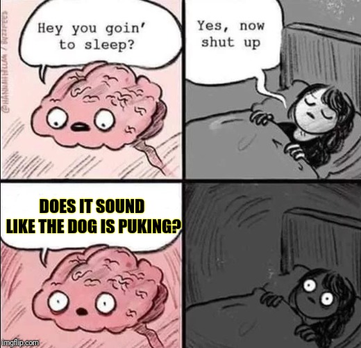 That's A Sound That Will Make You Stand Up In Bed | DOES IT SOUND LIKE THE DOG IS PUKING? | image tagged in waking up brain,dogs,sick,puke | made w/ Imgflip meme maker