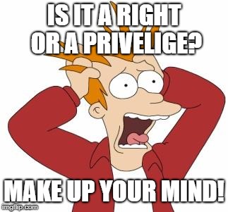 Fry Freaking Out | IS IT A RIGHT OR A PRIVELIGE? MAKE UP YOUR MIND! | image tagged in fry freaking out | made w/ Imgflip meme maker