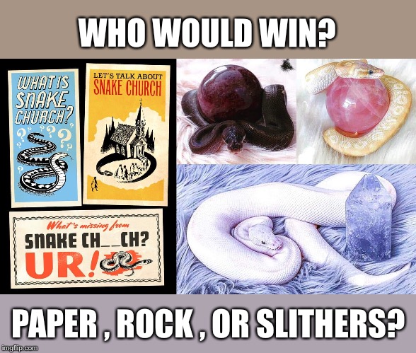 Rock Paper Slithers  | WHO WOULD WIN? PAPER , ROCK , OR SLITHERS? | image tagged in spirituality,snakes | made w/ Imgflip meme maker