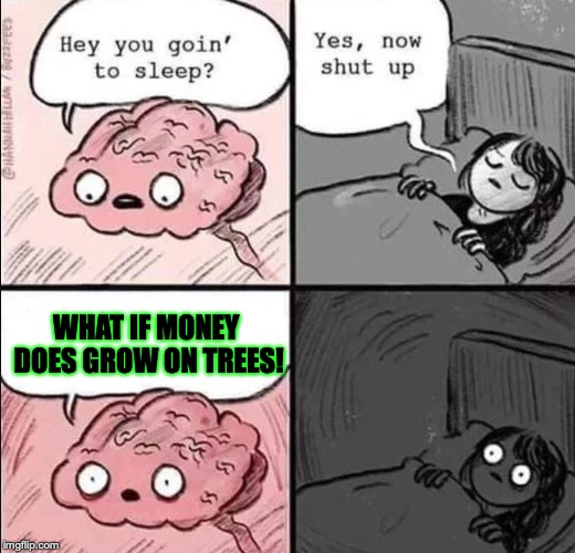 waking up brain | WHAT IF MONEY DOES GROW ON TREES! | image tagged in waking up brain | made w/ Imgflip meme maker