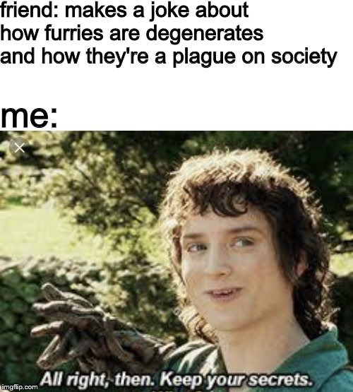 Image Tagged In Frodo Secrets Memes Furry Imgflip