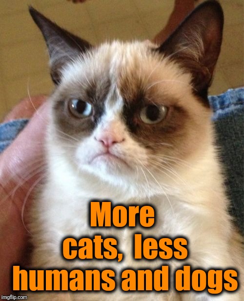 Grumpy Cat Meme | More cats,  less humans and dogs | image tagged in memes,grumpy cat | made w/ Imgflip meme maker