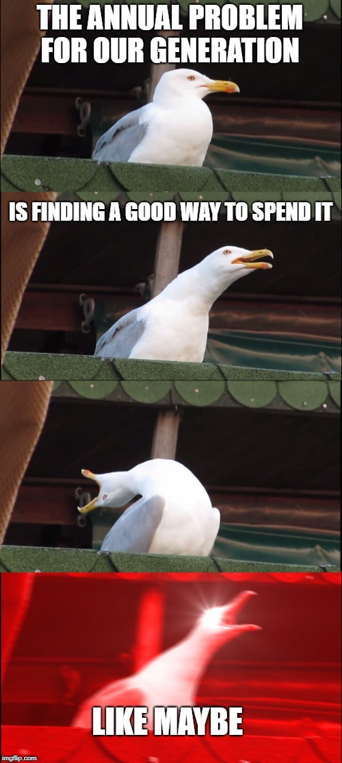 Inhaling Seagull | THE ANNUAL PROBLEM FOR OUR GENERATION; IS FINDING A GOOD WAY TO SPEND IT; LIKE MAYBE | image tagged in memes,inhaling seagull | made w/ Imgflip meme maker