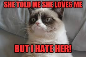 Grumpy cat | SHE TOLD ME SHE LOVES ME BUT I HATE HER! | image tagged in grumpy cat | made w/ Imgflip meme maker