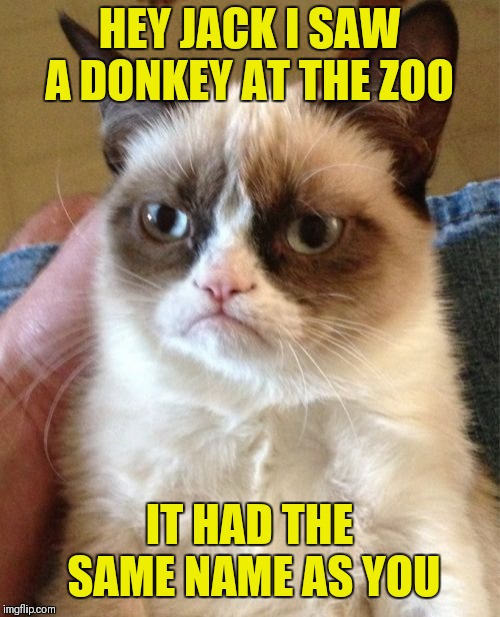 You're a JACK@SS | HEY JACK I SAW A DONKEY AT THE ZOO; IT HAD THE SAME NAME AS YOU | image tagged in memes,grumpy cat | made w/ Imgflip meme maker