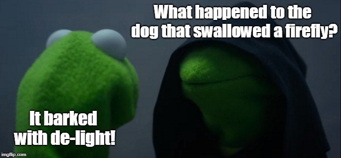 Mom & Son | What happened to the dog that swallowed a firefly? It barked with de-light! | image tagged in funny | made w/ Imgflip meme maker