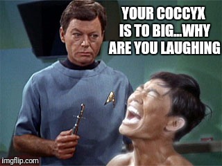 Innuendo Trek |  YOUR COCCYX IS TO BIG...WHY ARE YOU LAUGHING | image tagged in star trek,bones mccoy,sulu | made w/ Imgflip meme maker