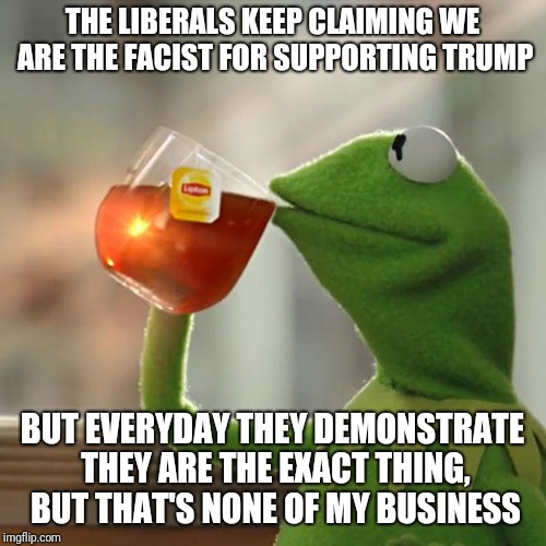 But That's None Of My Business | THE LIBERALS KEEP CLAIMING WE ARE THE FACIST FOR SUPPORTING TRUMP; BUT EVERYDAY THEY DEMONSTRATE THEY ARE THE EXACT THING, BUT THAT'S NONE OF MY BUSINESS | image tagged in memes,but thats none of my business,kermit the frog | made w/ Imgflip meme maker