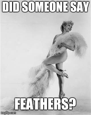 DID SOMEONE SAY FEATHERS? | made w/ Imgflip meme maker