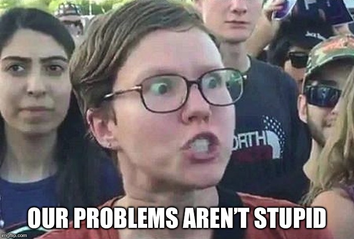 Triggered Liberal | OUR PROBLEMS AREN’T STUPID | image tagged in triggered liberal | made w/ Imgflip meme maker