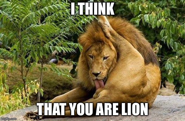 lion licking balls | I THINK THAT YOU ARE LION | image tagged in lion licking balls | made w/ Imgflip meme maker