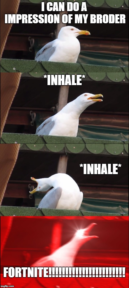 Inhaling Seagull | I CAN DO A IMPRESSION OF MY BRODER; *INHALE*; *INHALE*; FORTNITE!!!!!!!!!!!!!!!!!!!!!!! | image tagged in memes,inhaling seagull | made w/ Imgflip meme maker