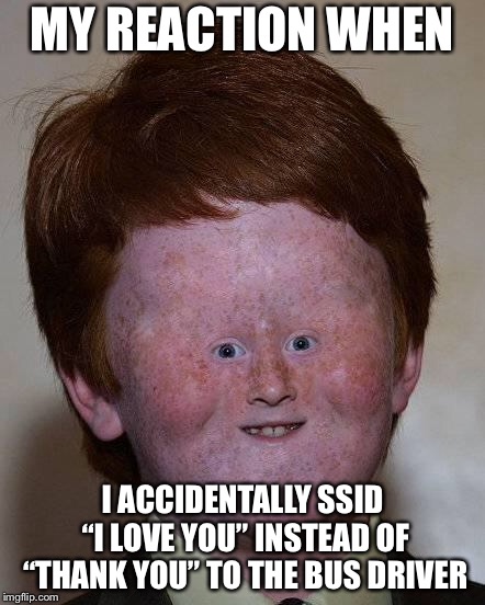 Dumb Ginger | MY REACTION WHEN; I ACCIDENTALLY SSID “I LOVE YOU” INSTEAD OF “THANK YOU” TO THE BUS DRIVER | image tagged in dumb | made w/ Imgflip meme maker