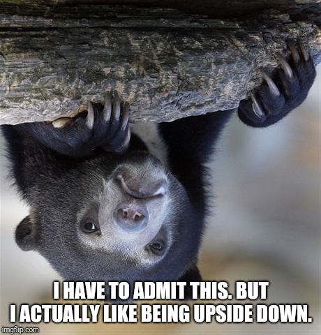Wait...  How is it my fault that everything is upside down? How?  | I HAVE TO ADMIT THIS. BUT I ACTUALLY LIKE BEING UPSIDE DOWN. | image tagged in memes,confession bear,upside-down | made w/ Imgflip meme maker