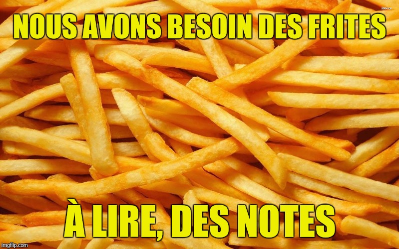 French Fries | NOUS AVONS BESOIN DES FRITES À LIRE, DES NOTES | image tagged in french fries | made w/ Imgflip meme maker