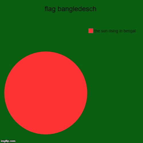 flag bangledesch | the sun rising in bengal | image tagged in funny,pie charts | made w/ Imgflip chart maker