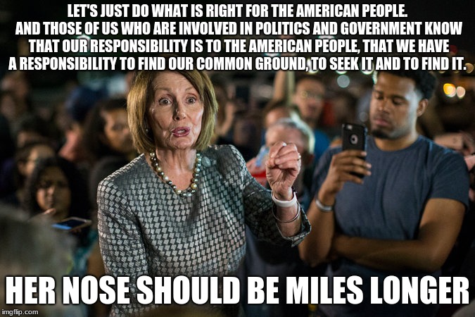 You can't make this stuff up | LET'S JUST DO WHAT IS RIGHT FOR THE AMERICAN PEOPLE. AND THOSE OF US WHO ARE INVOLVED IN POLITICS AND GOVERNMENT KNOW THAT OUR RESPONSIBILITY IS TO THE AMERICAN PEOPLE, THAT WE HAVE A RESPONSIBILITY TO FIND OUR COMMON GROUND, TO SEEK IT AND TO FIND IT. HER NOSE SHOULD BE MILES LONGER | image tagged in pelosi,liar,democratic socialism,build the wall,fire congress | made w/ Imgflip meme maker
