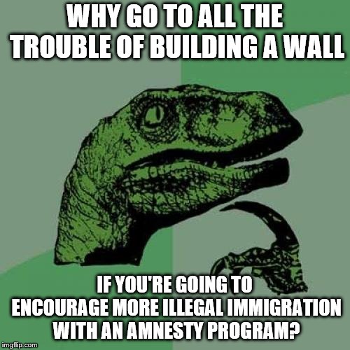 Philosoraptor | WHY GO TO ALL THE TROUBLE OF BUILDING A WALL; IF YOU'RE GOING TO ENCOURAGE MORE ILLEGAL IMMIGRATION WITH AN AMNESTY PROGRAM? | image tagged in memes,philosoraptor | made w/ Imgflip meme maker
