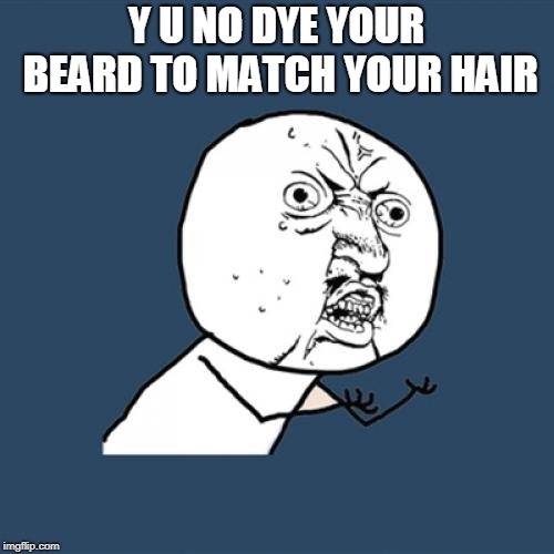 Y U No Meme | Y U NO DYE YOUR BEARD TO MATCH YOUR HAIR | image tagged in memes,y u no | made w/ Imgflip meme maker