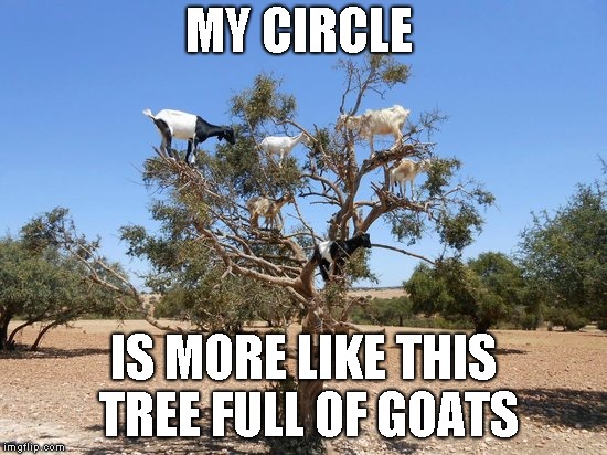 MY CIRCLE IS MORE LIKE THIS TREE FULL OF GOATS | made w/ Imgflip meme maker