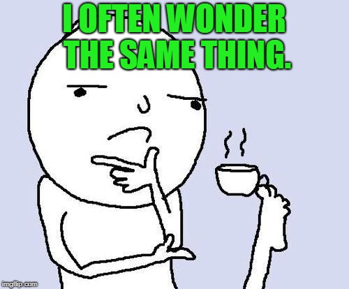 hmm | I OFTEN WONDER THE SAME THING. | image tagged in hmm | made w/ Imgflip meme maker