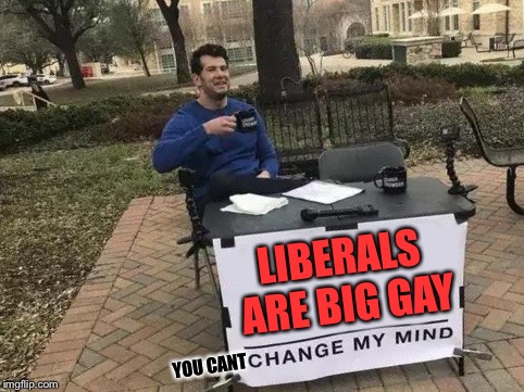 Change My Mind Meme | LIBERALS ARE BIG GAY; YOU CANT | image tagged in change my mind | made w/ Imgflip meme maker