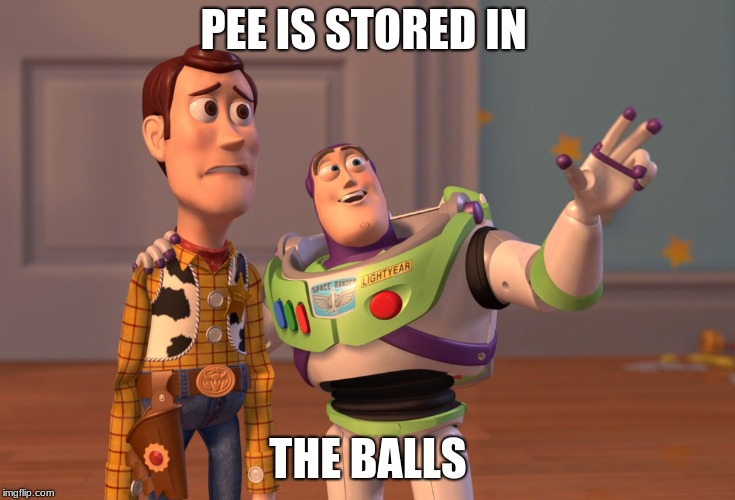 X, X Everywhere | PEE IS STORED IN; THE BALLS | image tagged in memes,x x everywhere | made w/ Imgflip meme maker