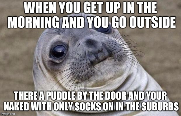 not fully awake | WHEN YOU GET UP IN THE MORNING AND YOU GO OUTSIDE; THERE A PUDDLE BY THE DOOR AND YOUR NAKED WITH ONLY SOCKS ON IN THE SUBURBS | image tagged in memes,awkward moment sealion,mornings | made w/ Imgflip meme maker