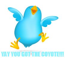 YAY YOU GOT THE COYOTE!!! | made w/ Imgflip meme maker