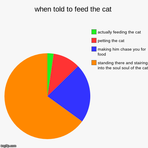When told to feed the cat | when told to feed the cat | standing there and stairing into the soul soul of the cat, making him chase you for food, petting the cat, actua | image tagged in funny,pie charts | made w/ Imgflip chart maker