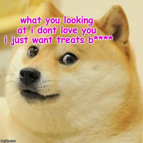 Doge Meme | what you looking at i dont love you  i just want treats b**** | image tagged in memes,doge | made w/ Imgflip meme maker