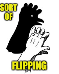 SORT OF FLIPPING | made w/ Imgflip meme maker