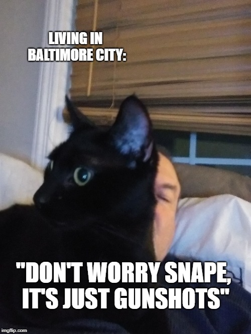 Living in "Bawlmer" | LIVING IN BALTIMORE CITY:; "DON'T WORRY SNAPE, IT'S JUST GUNSHOTS" | image tagged in baltimore | made w/ Imgflip meme maker